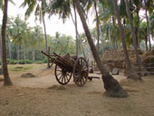 View of the Village