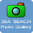 Click to view Puri sea Beach Photo Gallery