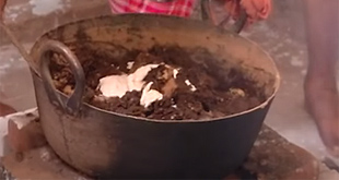 Preparation of Dasamula Modaka