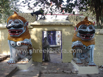 Jhapa simhas (lions) at main gate