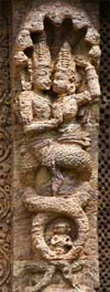 Naga Mithuna