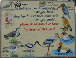 Chilika Tourist Information Banner 3