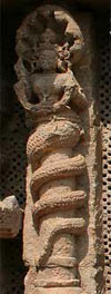 Naga Mithuna