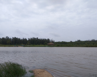 River bed in front of Baliharachandi Temple