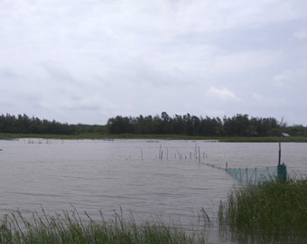 River bed in front of Baliharachandi Temple
