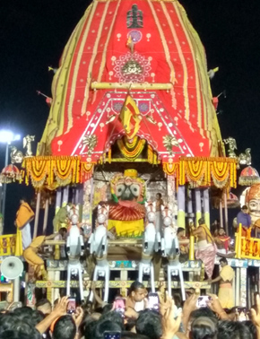 Lord Jagannath on Nandighosha