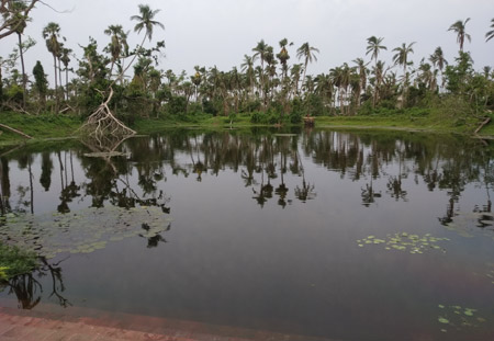 Beautiful Pond near the Temple