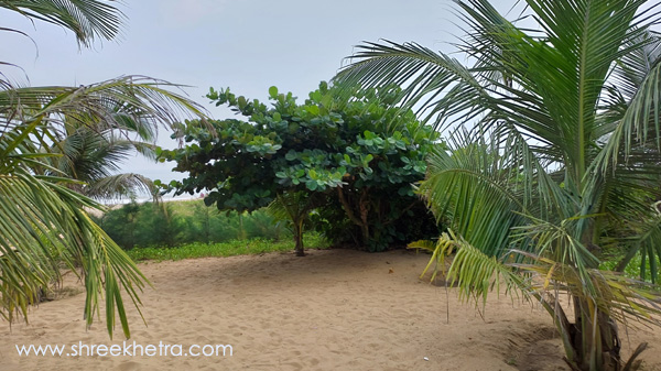 Puri Golden Beach