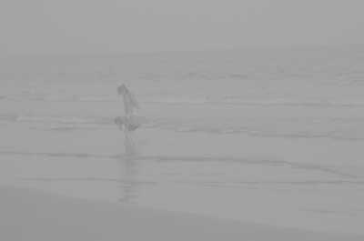 Sea Beach
