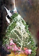 Tahia of Goddess Subhadra