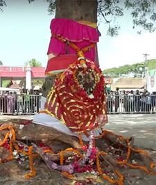 Daru of Lord Balabhadra