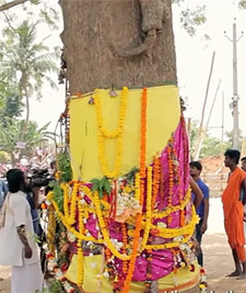 Daru of Lord Jagannath