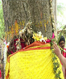 Daru of Goddess Subhadra