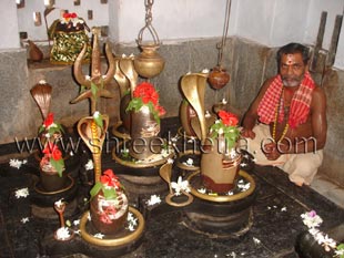 Chief Priest of Asta Sambhu Temple